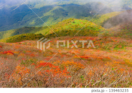 磐梯山山頂付近からの展望 紅葉と緑のグラデーション 雲間に広がる麓の街並み 福島県 磐梯山山頂付近からの展望 紅葉と緑のグラデーション 雲間に広がる麓の街並み 福島県 139463235