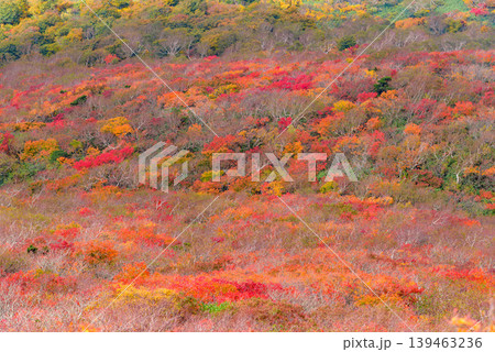磐梯山山頂付近からの展望 紅葉と緑のグラデーション 雲間に広がる麓の街並み 福島県 磐梯山山頂付近からの展望 紅葉と緑のグラデーション 雲間に広がる麓の街並み 福島県 139463236