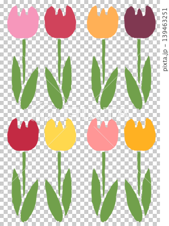 Tulip Tulip 139463251