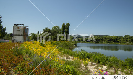 Jarasum Flower Festival 139463509