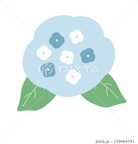 水色の紫陽花のカラーイラスト・梅雨 水色の紫陽花のカラーイラスト・梅雨 139464791