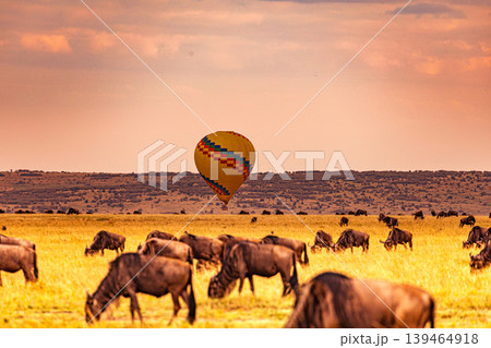 Maasai Mara National Game Reserve Park Narok County Kenya East Africa Savannah Grasslands Wilderness Landscapes Panoramic Scenic Views Wild Wildlife Animals Great Rift Valley Lions Sunset Sunrise Adve Maasai Mara National Game Reserve Park Narok County Kenya East Africa Savannah Grasslands Wilderness Landscapes Panoramic Scenic Views Wild Wildlife Animals Great Rift Valley Lions Sunset Sunrise Adve 139464918