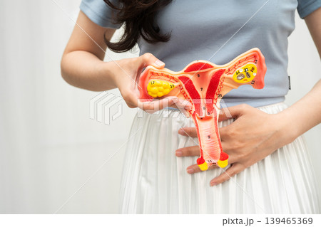 Uterus, Asian woman holding human anatomy model. Uterus, Asian woman holding human anatomy model. 139465369