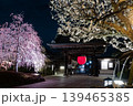 春の夜に輝く鎌倉長谷寺の山門と枝垂れ梅ライトアップ 139465385