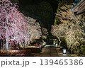 春の夜に輝く鎌倉長谷寺の参道と梅ライトアップ 139465386