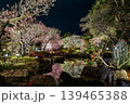 水面に映る鎌倉長谷寺の梅ライトアップと春の夜景 139465388