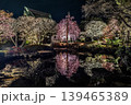 水面に映る梅ライトアップと鎌倉長谷寺の夜景 139465389