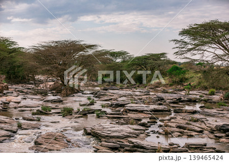 Maasai Mara National Game Reserve Park Narok County Kenya East Africa Savannah Grasslands Wilderness Landscapes Panoramic Scenic Views Wild Wildlife Animals Great Rift Valley Lions Sunset Sunrise Adve 139465424