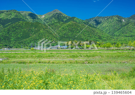 田園地帯から眺める湖西の山々 滋賀県大津市比良 田園地帯から眺める湖西の山々 滋賀県大津市比良 139465604
