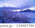 熊本県　阿蘇　草千里の冬の朝 139465780