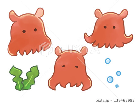 メンダコのイラスト 139465985