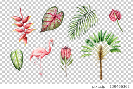 Tropical watercolor set. Ravenala madagascariensis, monstera, palm, protea calladium, red anthurium, heliconia flower. Hand drawn isolated Pink flamingo bird, illustrations on transparent background 139466362