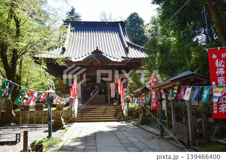町田市薬師池公園 福王寺薬師堂(野津田薬師堂)と新緑 町田市薬師池公園 福王寺薬師堂(野津田薬師堂)と新緑 139466400