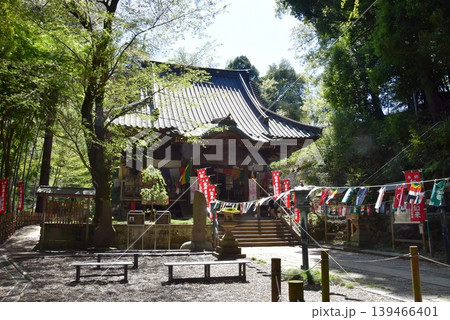 町田市薬師池公園 福王寺薬師堂(野津田薬師堂)と新緑 町田市薬師池公園 福王寺薬師堂(野津田薬師堂)と新緑 139466401