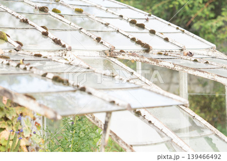 Greenhouse glass roof agriculture garden plants farming structure nature 139466492
