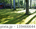 日本の庭園の緑の木々 139466644