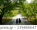 新緑の中を歩く人 139466647