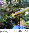 日本の庭園 139466651