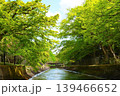 新緑のある風景 139466652