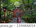 夜灯りの参道 139466654