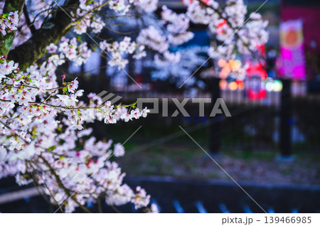 【あかしな龍門渕さくらまつり】夜桜【安曇野市明科】 【あかしな龍門渕さくらまつり】夜桜【安曇野市明科】 139466985