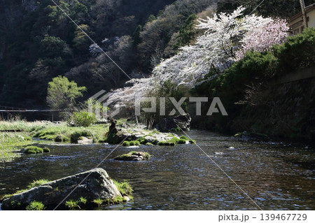 湯原温泉の景色 湯原温泉の景色 139467729