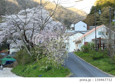 湯原温泉の景色 湯原温泉の景色 139467732