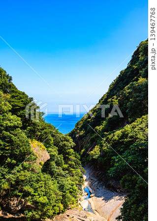 深い緑と青い海が広がる屋久島の絶景 深い緑と青い海が広がる屋久島の絶景 139467768