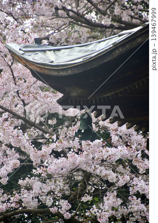花岡八幡宮・多宝塔(山口県・下松市) 花岡八幡宮・多宝塔(山口県・下松市) 139467999
