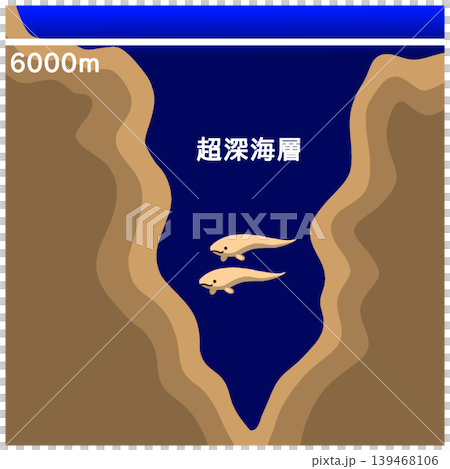 超深海層 超深海層 139468106