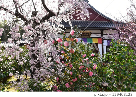 京都嵐山　熊谷山法然寺 139468122