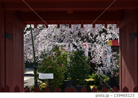 京都嵐山 熊谷山法然寺 京都嵐山 熊谷山法然寺 139468123