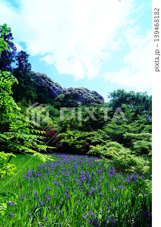 山野辺の路 花景色 山野辺の路 花景色 139468182