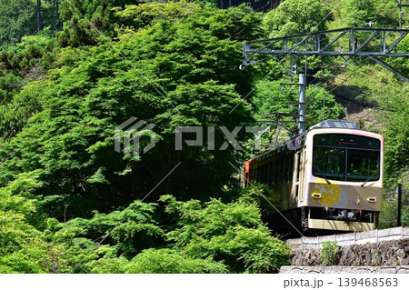 鉄道 列車 京都 叡山 叡電 えいでん 舞 洛北 鞍馬 貴船口 新緑 みどり 皐月 風 鉄道 列車 京都 叡山 叡電 えいでん 舞 洛北 鞍馬 貴船口 新緑 みどり 皐月 風 139468563