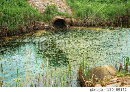 Concrete drainage pipe discharging wastewater into a contaminated stream filled with green algae and debris. Concept of environmental pollution and urban water waste. Concrete drainage pipe discharging wastewater into a contaminated stream filled with green algae and debris. Concept of environmental pollution and urban water waste. 139469151