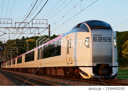 成田エクスプレス E259系 夕方の編成写真 成田エクスプレス E259系 夕方の編成写真 139469200