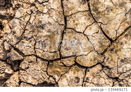 Cracked Earth, Arid Soil Texture, Drought Background Cracked Earth, Arid Soil Texture, Drought Background 139469271
