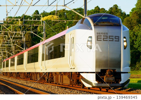 西日を浴びるE259系・しおさい 西日を浴びるE259系・しおさい 139469345