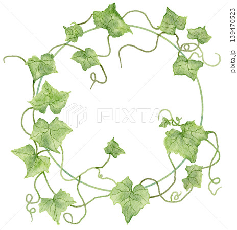 watercolor ivy wreath with green climbing vines and leaves arranged in a circular botanical frame isolated on a white background watercolor ivy wreath with green climbing vines and leaves arranged in a circular botanical frame isolated on a white background 139470523