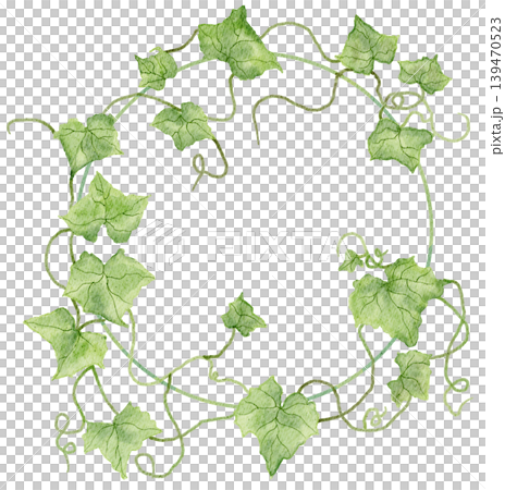 watercolor ivy wreath with green climbing vines and leaves arranged in a circular botanical frame isolated on a white background watercolor ivy wreath with green climbing vines and leaves arranged in a circular botanical frame isolated on a white background 139470523