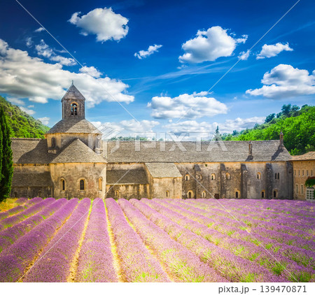 Abbey Senanque and Lavender field, France Abbey Senanque and Lavender field, France 139470871