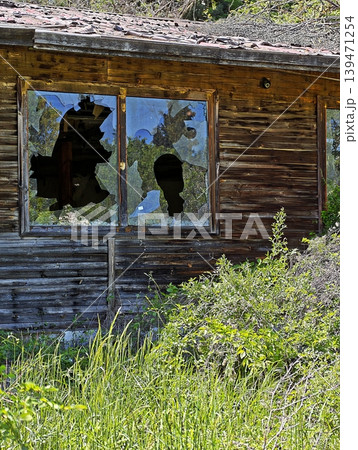 a decaying wooden structure with broken glass and wild vegetation. a decaying wooden structure with broken glass and wild vegetation. 139471254