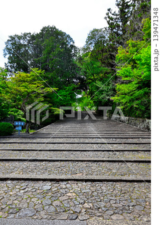 表参道 西山浄土宗 総本山 光明寺 表参道 西山浄土宗 総本山 光明寺 139471348
