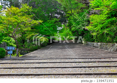 表参道 西山浄土宗 総本山 光明寺 表参道 西山浄土宗 総本山 光明寺 139471351