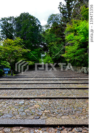 表参道 西山浄土宗 総本山 光明寺 表参道 西山浄土宗 総本山 光明寺 139471356