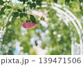 白いアーチ状のトレリスとバラ 139471506