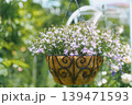 宙に浮かぶ花束　空中を彩る庭の宝石 139471593