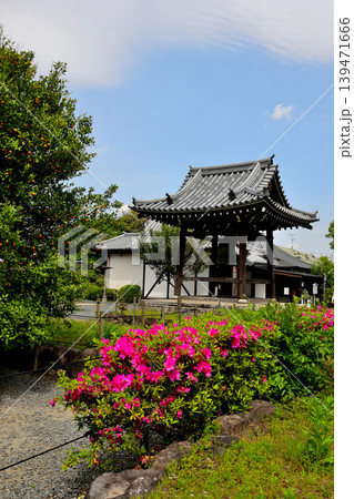 京都府長岡京市　乙訓寺　境内　鐘撞堂とツツジ 139471666