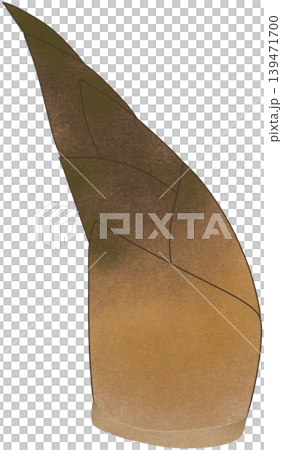 brown bamboo shoot brown bamboo shoot 139471700