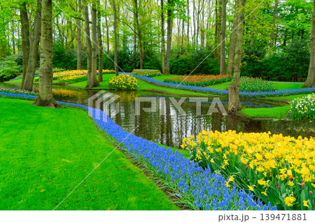 The path through a vibrant tulip garden in full bloom during the delightful spring season is breathtaking The path through a vibrant tulip garden in full bloom during the delightful spring season is breathtaking 139471881